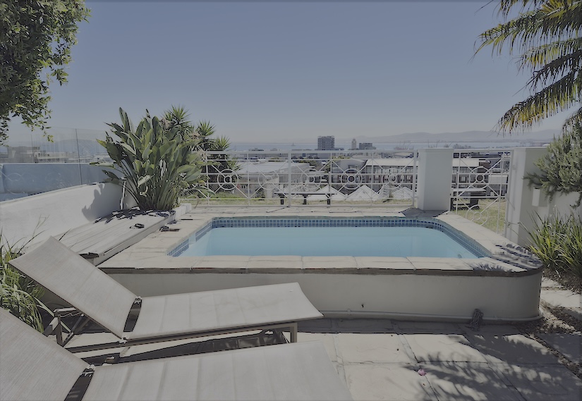 4 Bayview Terrace - plunge pool & view of harbour